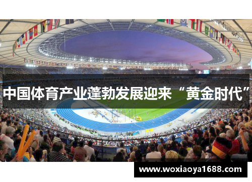 中国体育产业蓬勃发展迎来“黄金时代”